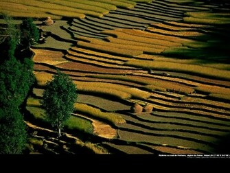Gallery Wallpaper Photos De Yann Arthus Bertrand