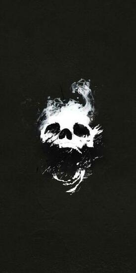 Skull Destiny Minimal Game Wallpaper Video