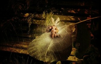 Thumbelina High Quality And Resolution Wallpaper On