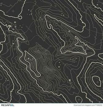 Topographic Map Background Concept With Space For Your Copy
