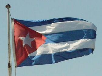 Top Cuban Birds Wallpaper