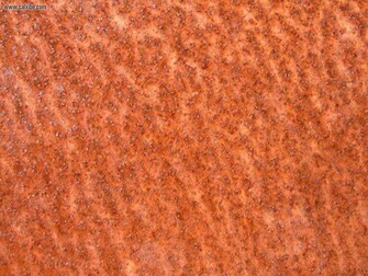Development Rusty Metal Picture Nr