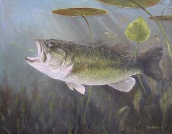 Largemouth Bass Wallpaper