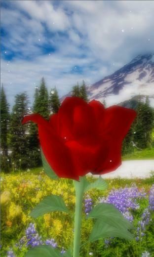 Rose 3d Live Wallpaper Android Apps On Google Play