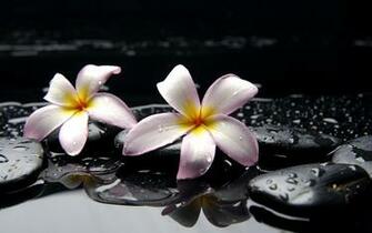 Zen Water Wallpaper HD
