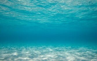 Bottom Of The Sea Wallpaper