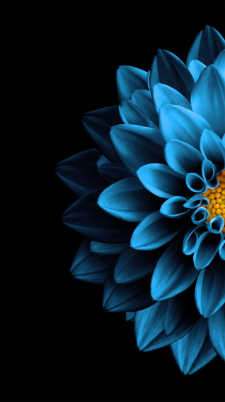 4k Super Amoled Phone Wallpaper