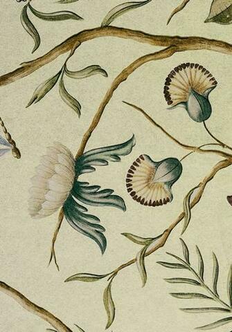 Wide Width Wallpaper Adam S Eden Lewis And Wood Online