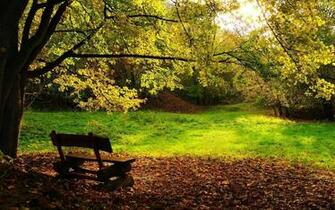 Peaceful Sceneries Wallpaper Desktop