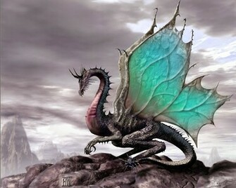 Water Dragon Wallpaper And Background For Your