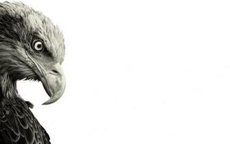 Eagle Wallpaper Macbook Pro By Muchofunk