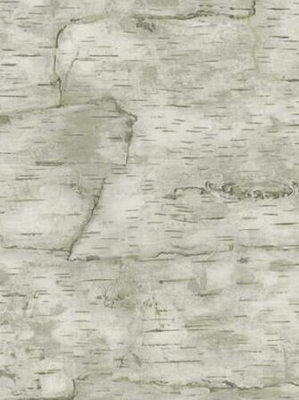 Image Wood Lft068 Jpg Item Number Birch Bark Wallpaper