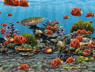 Fish Tank Screensaver Deadly Beasts And Motorcycles With