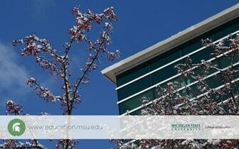 Michigan State University Wallpaper