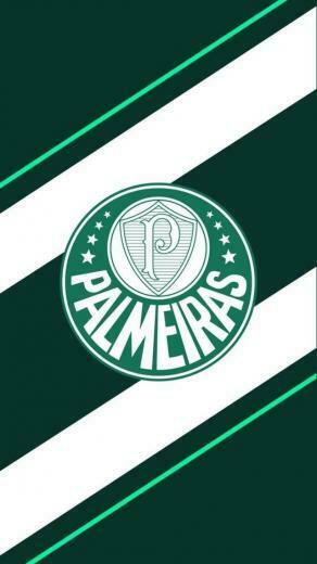 Pin Em Se Palmeiras