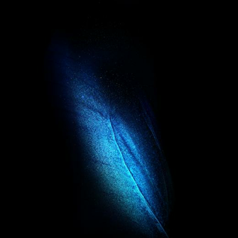 Samsung Galaxy Fold Wallpaper In Full Resolution Right Here