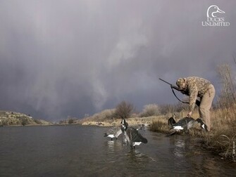 Duck Hunting Wallpaper Desktop