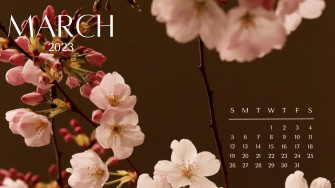 Desktop Background March A Dash Of Kam