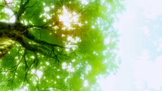Green Anime Wallpaper Group