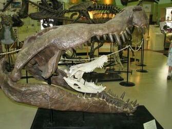 Deinosuchus By Shadowsstocks
