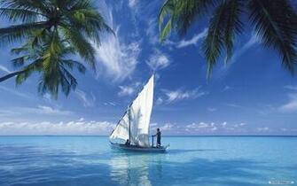 Wallpaper Nature Windows Themes Landscape