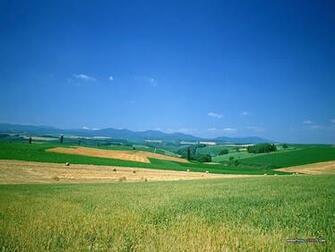 Wallpaper Cornfield Photos Country Farm Scene