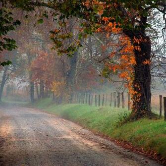 Best Wallpaper A Day Only Retina iPhone New iPad Fall