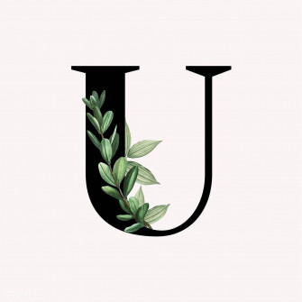 Top Letter U Wallpaper Full HD 4k To Use