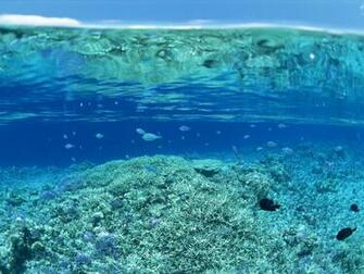 Pin Under The Sea Desktop Background Wallpaper For