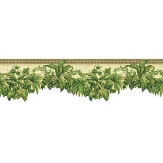 Displaying Image For Ivy