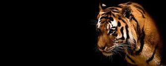 Pictures Image Background Dual Screen Wallpaper Jpg