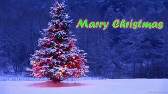 Tree Image Background Full HD Wallpaper For Desktop