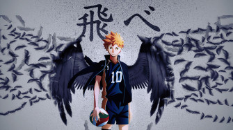 Haikyuu Shoyo Hinata 4k Wallpaper
