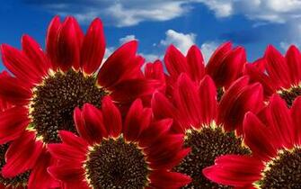 Beautiful Pictures Are Nice To Look At