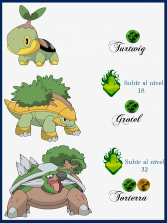 Turtwig Wallpaper By Maxconnery