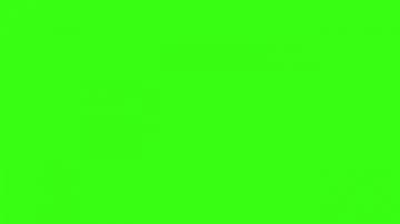Model Bright Lime Green Wallpaper Cool HD