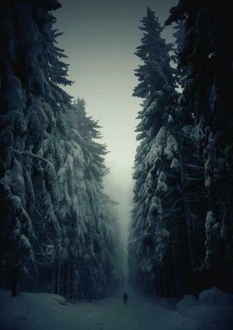 Wallpaper Phone