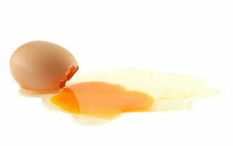 Egg Wallpaper HD Background Image Pics Photos