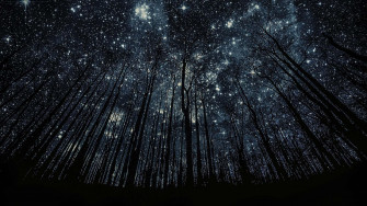 Night HD Desktop Wallpaper
