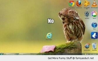 Internet Explorer Ie No Owl Bird Desktop Background Wallpaper Funny