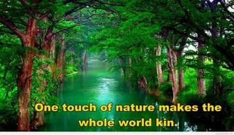 HD Nature Wallpaper