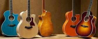 Taylor Guitars Guitar Acoustic