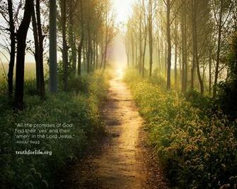 All The Promises Of God Wallpaper Truth For Life