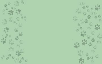 Pet Background And Wallpaper On