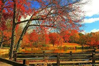 Photograph Desktop Wallpaper November Southbury Ct