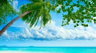 File Name Nature High Quality Wallpaper