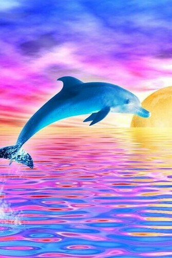 Dolphins Your Favorite Wallpaper And Save It For Dolphin