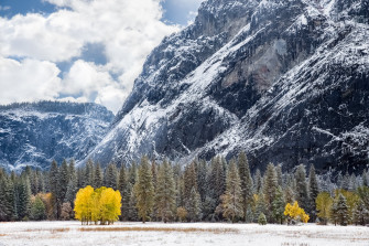 California Tuolumne Meadows Usa Winter Forest Mountain Autumn
