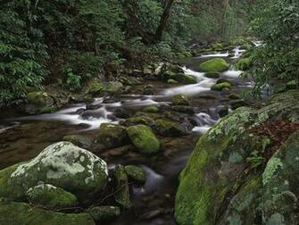 Smoky National Park Wallpaper Great Mountains