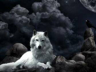 Night Wolf Fantasy Wallpaper Wallpaperpick